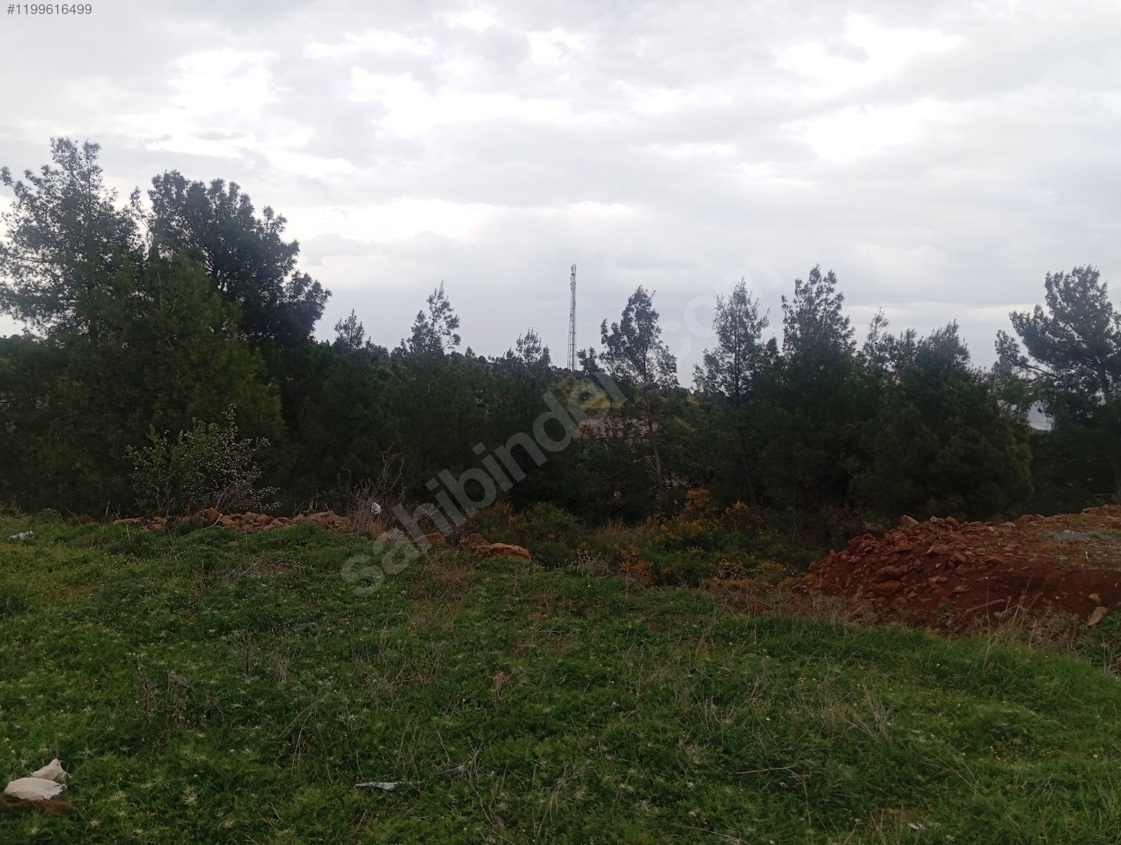 Fotoğraf