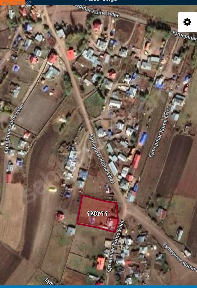 Fotoğraf