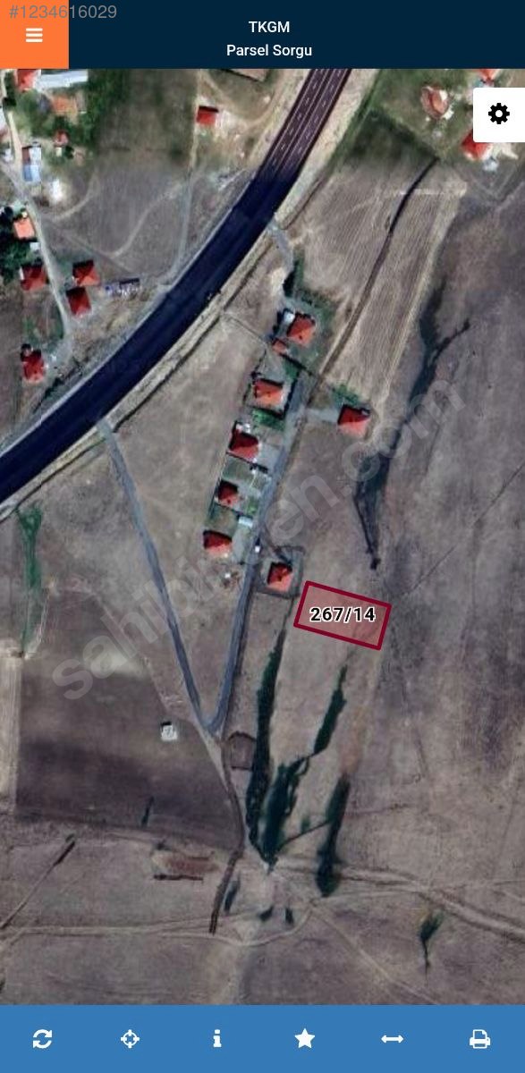 Fotoğraf