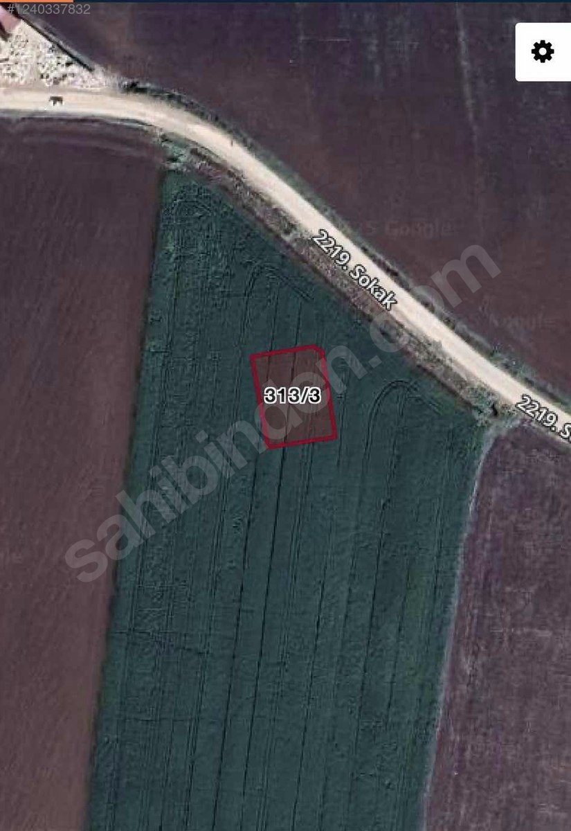 Fotoğraf