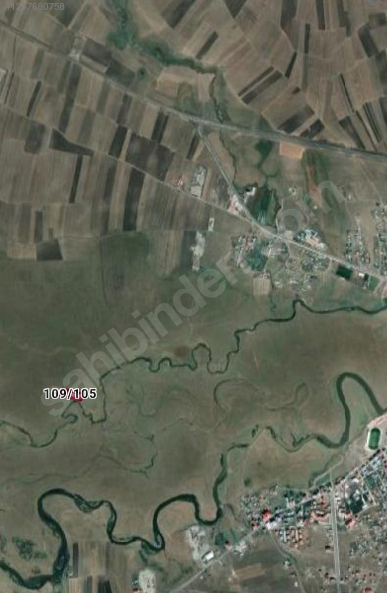 Fotoğraf