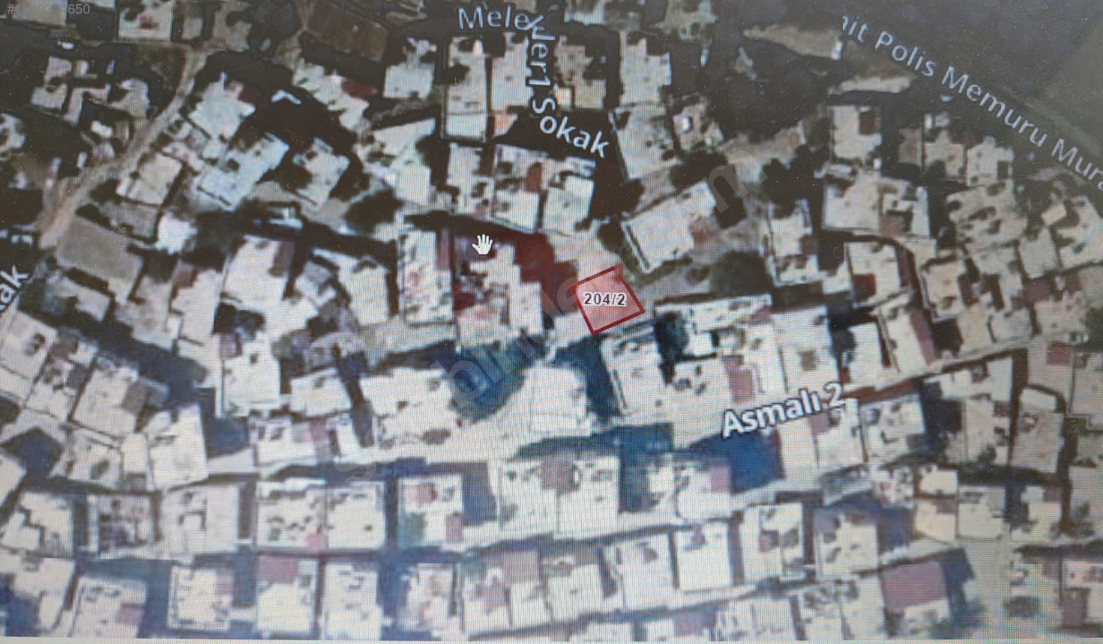 Fotoğraf