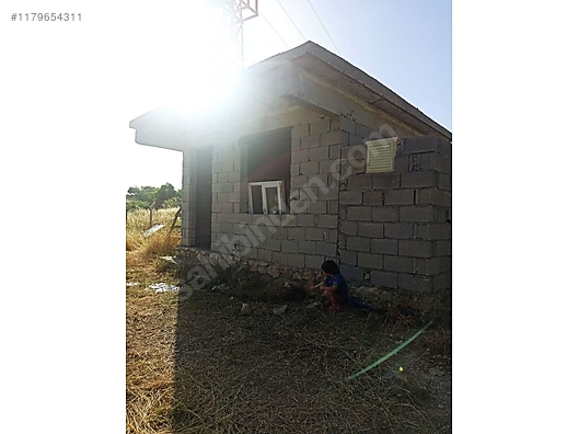 Fotoğraf