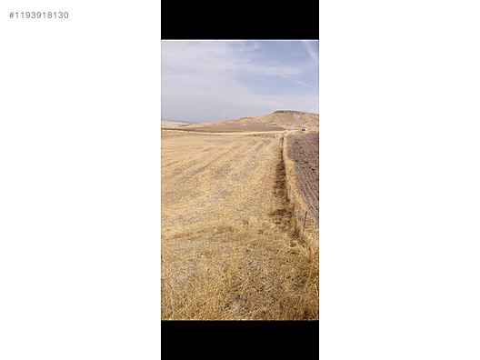 İlan Fotoğrafı