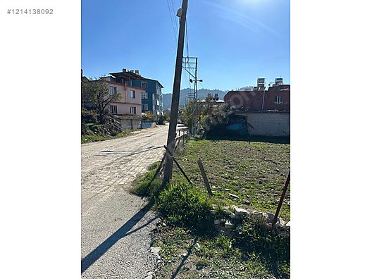 Fotoğraf