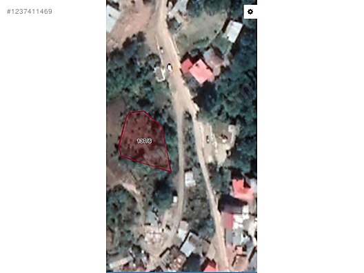 Fotoğraf