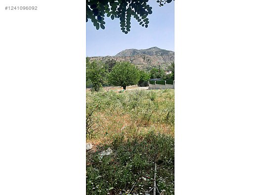 Fotoğraf