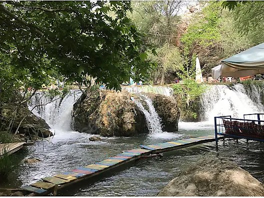 Fotoğraf