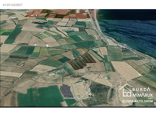 İlan Fotoğrafı