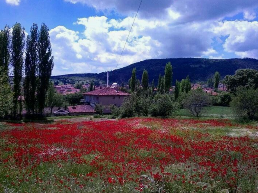 KÜTAHYA TAVŞANLI GAZELYAKUP  KÖYÜNDE 280  M² TARLA  SATILIKTIR