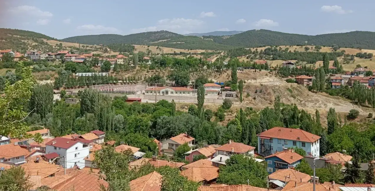   KÜTAHYA GEDİZ E.GEDİZ-SABIRGAZİ  KÖYÜNDE   3.309 M²  TARLA SATILIKTIR