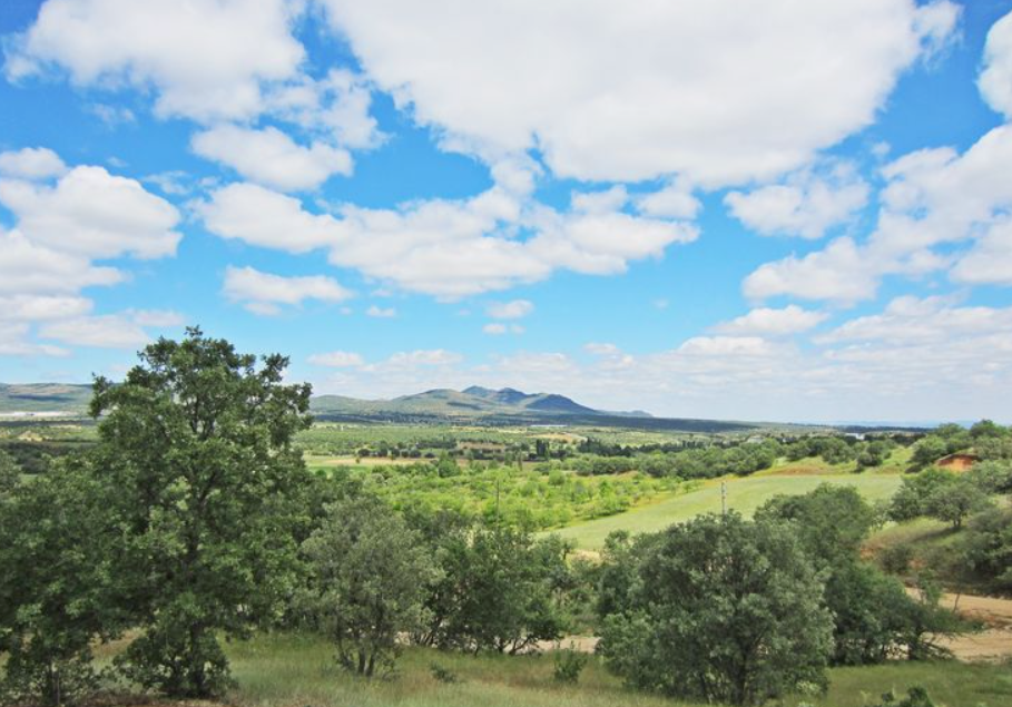   UŞAK EŞME BOZLAR KÖYÜ’NDE 4527 M² TARLA SATILIKTIR