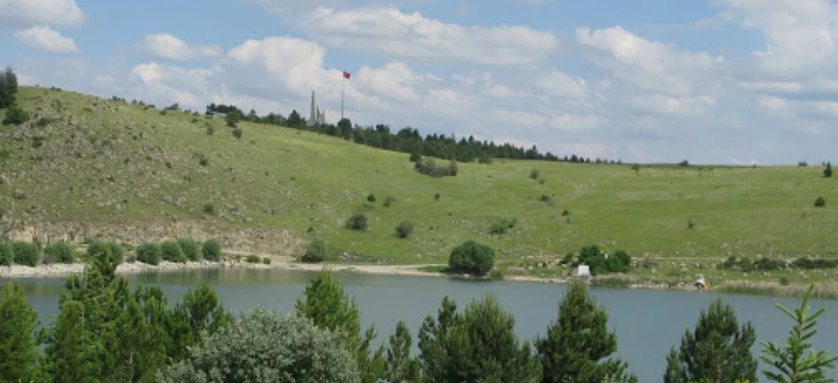    KÜTAHYA ALTINTAŞ YEŞİLYURT  KÖYÜNDE  521  M² BAHÇE SATILIKTIR   