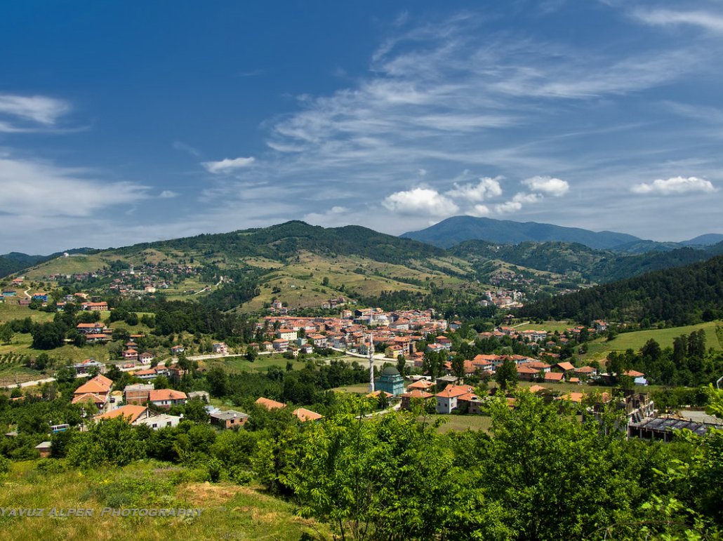   DÜZCE YIĞILCA HACILAR  KÖYÜNDE 282 M²  TARLA  SATILIKTIR