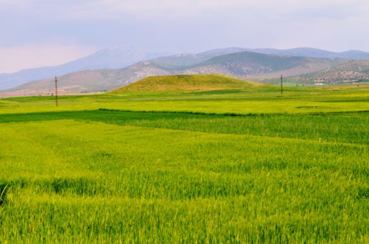  KONYA GÜNEYSINIR KARAGÜNEY (AĞRAS)  KÖYÜNDE  1.758  M²  BAĞ  SATILIKTIR