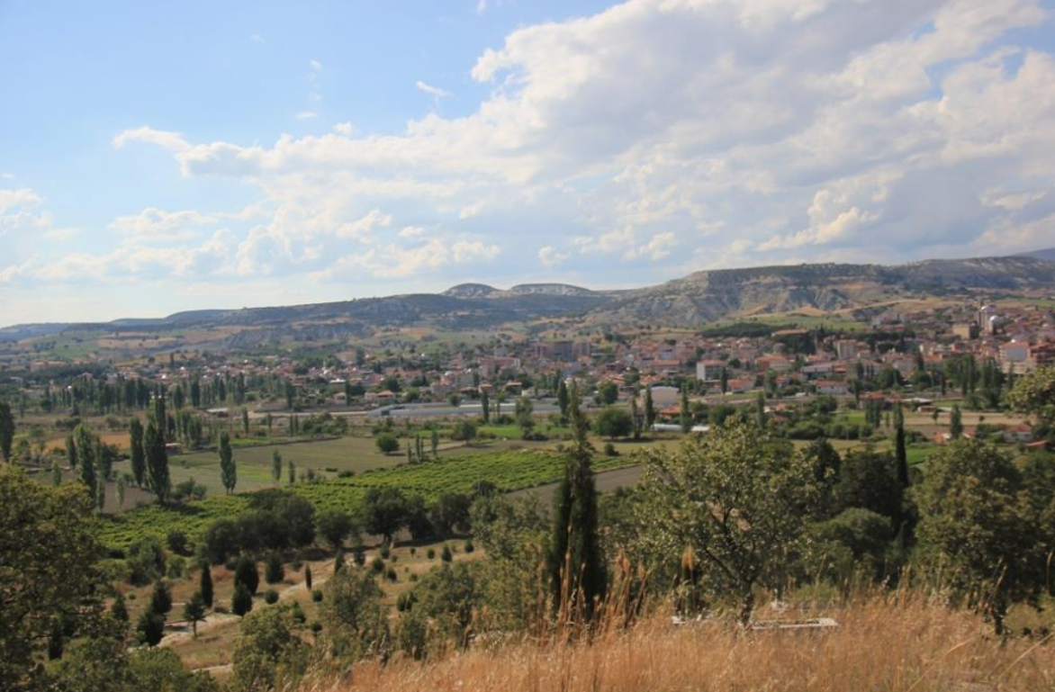 MANİSA SELENDİ AVLAŞA'DA 611 M² İMARLI ARSAMIZ SATILIKTIR.