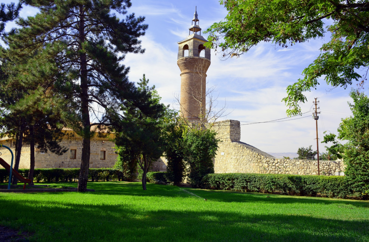 TOKAT ZİLE ALAYURT KÖYÜNDE 600 M² BAĞ SATILIKTIR.