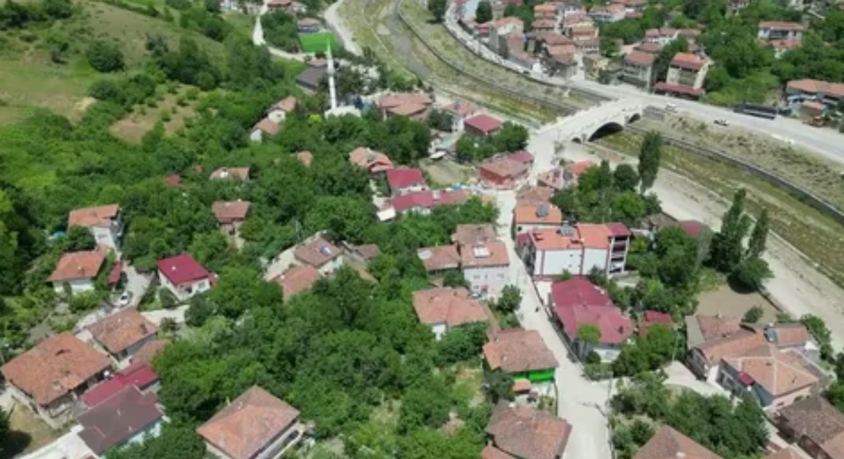   SAMSUN ALAÇAM YUKARIKOÇLU   KÖYÜNDE 4.217 M²  TARLA  SATILIKTIR