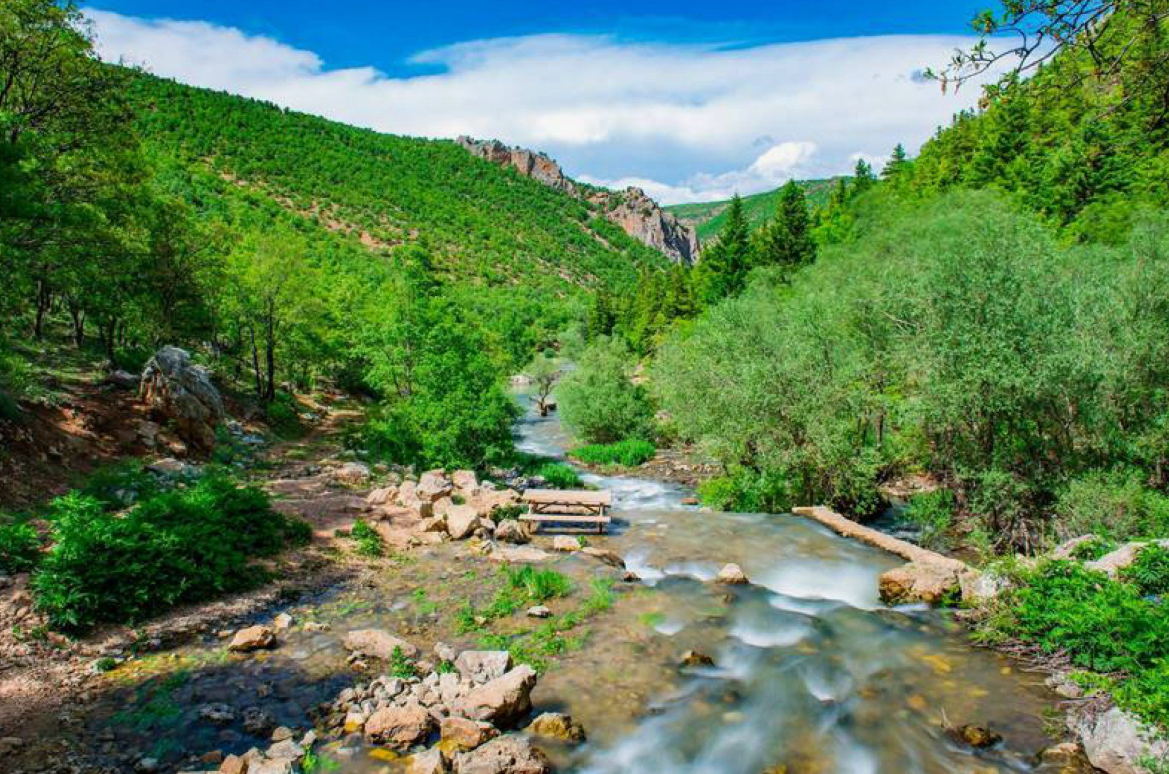    KONYA  BOZKIR ARMUTLU KÖYÜNDE 2.819 M2 TARLA SATILIKTIR.