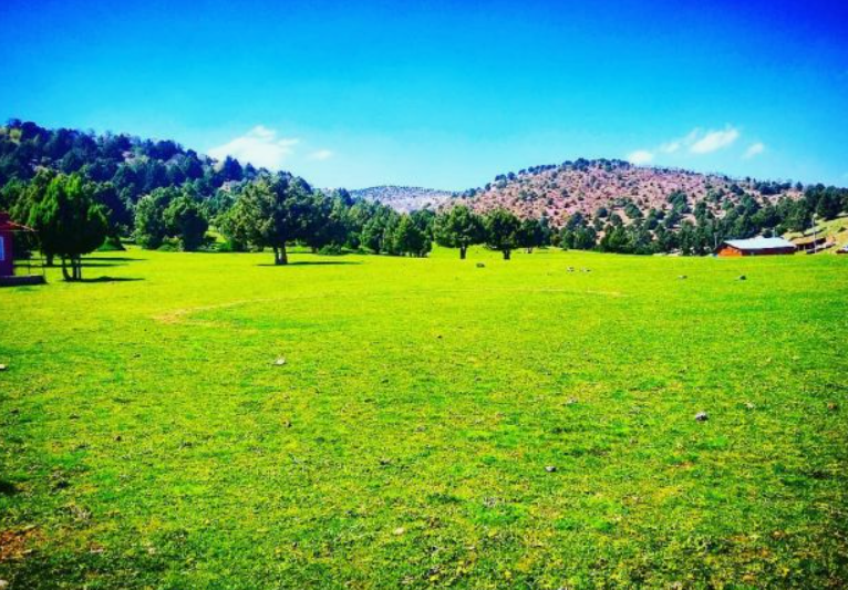 KONYA GÜNEYSINIR AVCITEPE KÖYÜNDE 8.285 M² BAĞ SATILIKTIR