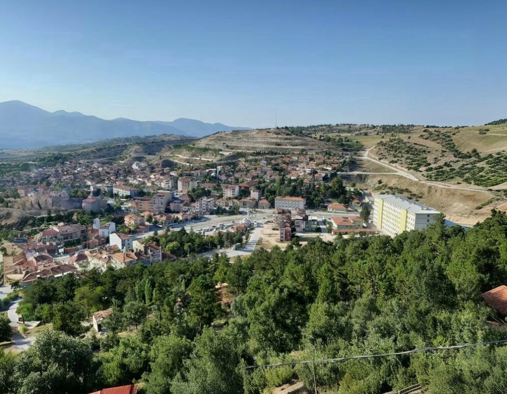   KÜTAHYA EMET MUSALAR   KÖYÜNDE  1.319   M²  TARLA  SATILIKTIR