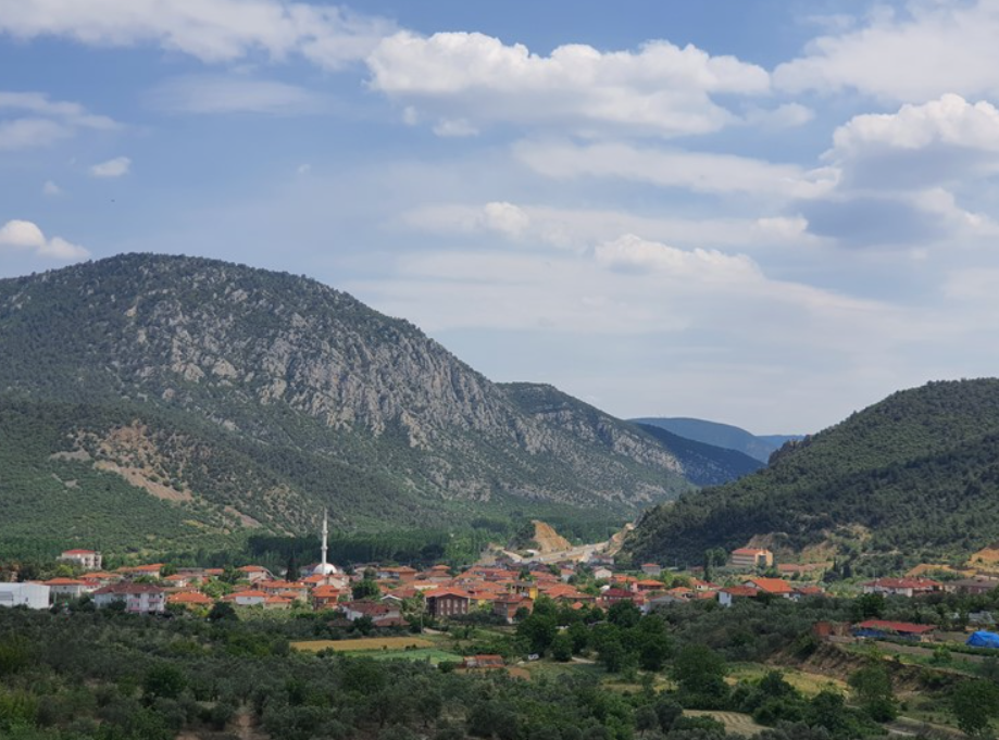   SAKARYA GEYVE ILICA MH.'DE 3.863 M² TARLA SATILIKTIR