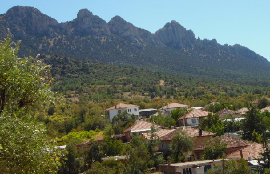 DENİZLİ BAKLAN HÜSAMETTİNDEDE   KÖYÜNDE 5.763  M²   BAĞ  SATILIKTIR