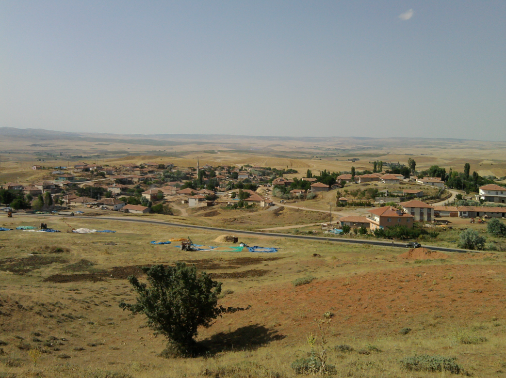   KIRIKKALE BALIŞEYH KULAKSIZ  KÖYÜNDE  3.002  M² TARLA SATILIKTIR