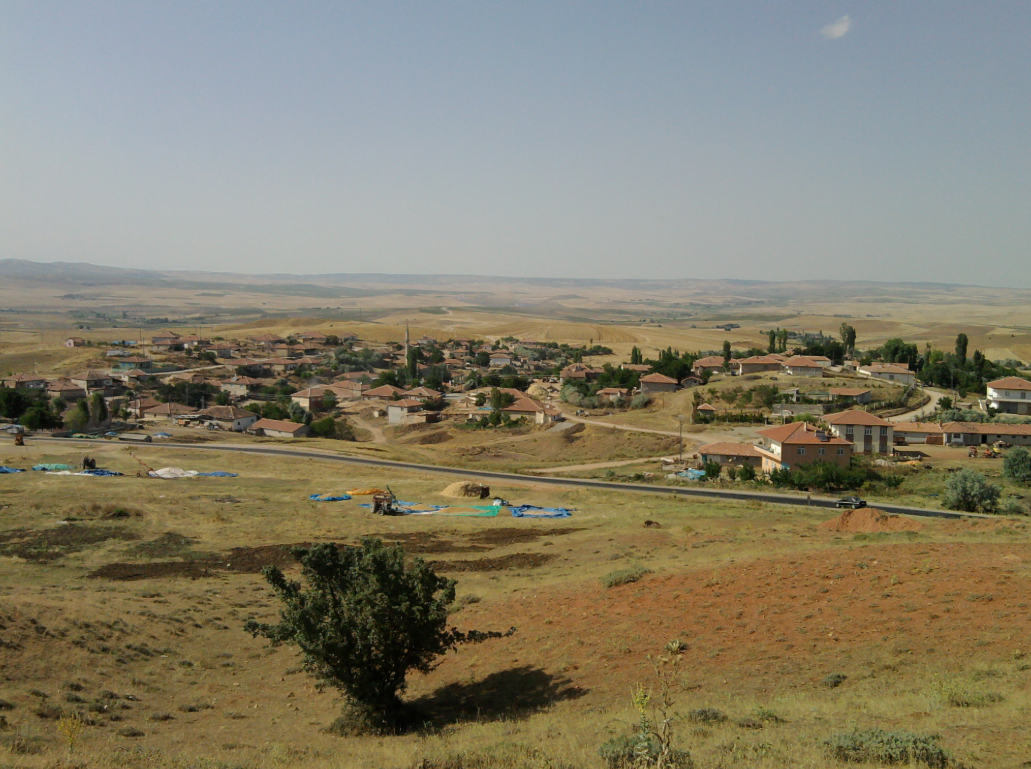  KIRIKKALE BALIŞEYH KULAKSIZ  KÖYÜNDE  3.002  M² TARLA SATILIKTIR