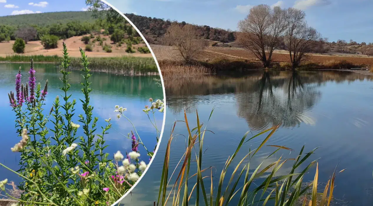  KONYA ILGIN GÖLYAKA  KÖYÜNDE 40.432 M²  TARLA  SATILIKTIR