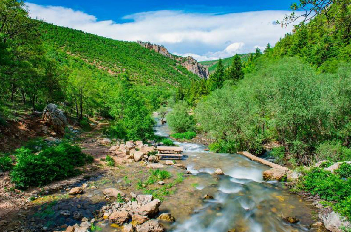 KONYA BOZKIR HACILAR KÖYÜNDE  3.577 M² ELMA BAHÇESİ SATILIKTIR.