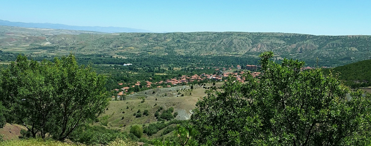 ÇANKIRI ELDİVAN SARAY MAH. 294M² TARLAMIZ SATILIKTIR.