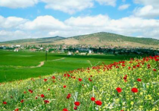 KONYA GÜNEYSINIR HABİLLER KÖYÜNDE 1.917 M² BAĞ SATILIKTIR