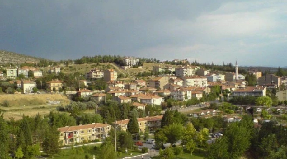 KÜTAHYA EMET MUSALAR KÖYÜNDE 1.319 M² TARLA SATILIKTIR