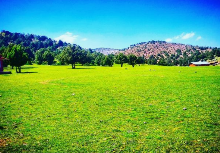      KONYA GÜNEYSINIR KIZILÖZ  KÖYÜNDE 2.831 M²  TARLA  SATILIKTIR