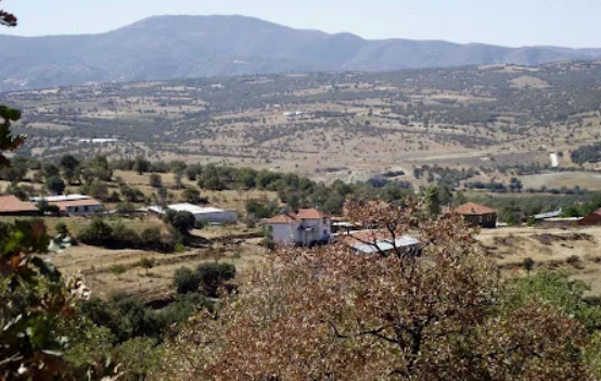   UŞAK EŞME BOZLAR KÖYÜ’NDE 4.527 M² TARLA SATILIKTIR