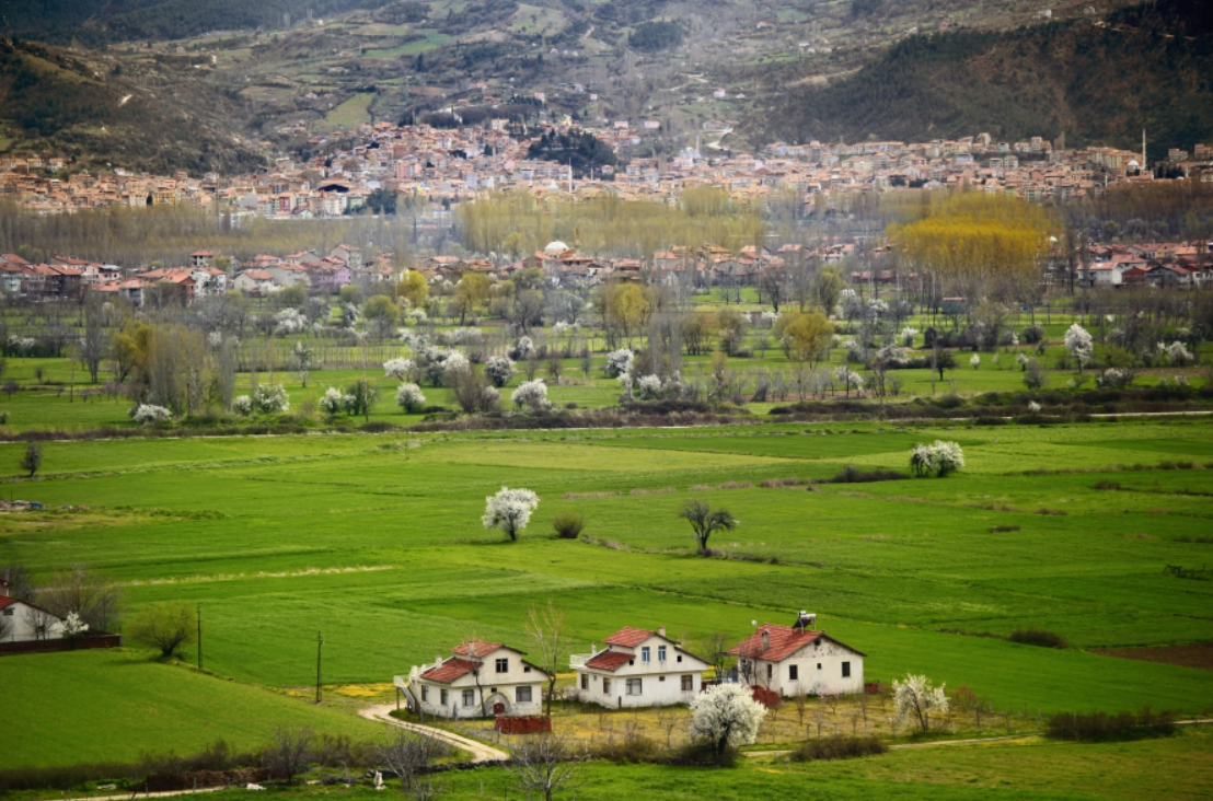     KÜTAHYA SİMAV YUKARIDOLAYLAR  KÖYÜNDE 1.911 M²  TARLA  SATILIKTIR