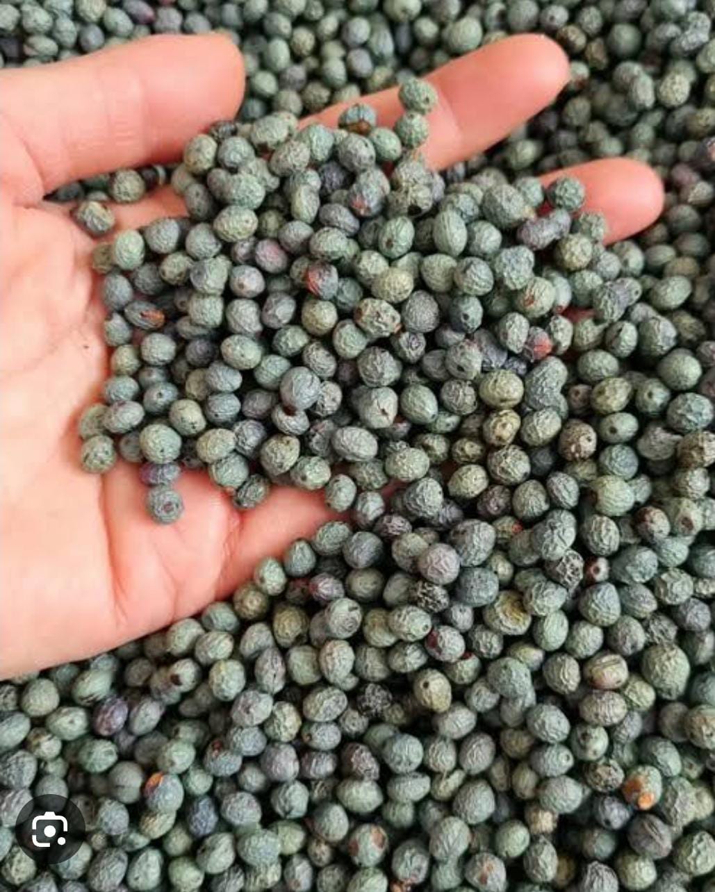    KONYA BOZKIR HACILAR   KÖYÜNDE 306  M²  MENENGİÇ KAHVE BAHÇESİ  SATILIKTIR