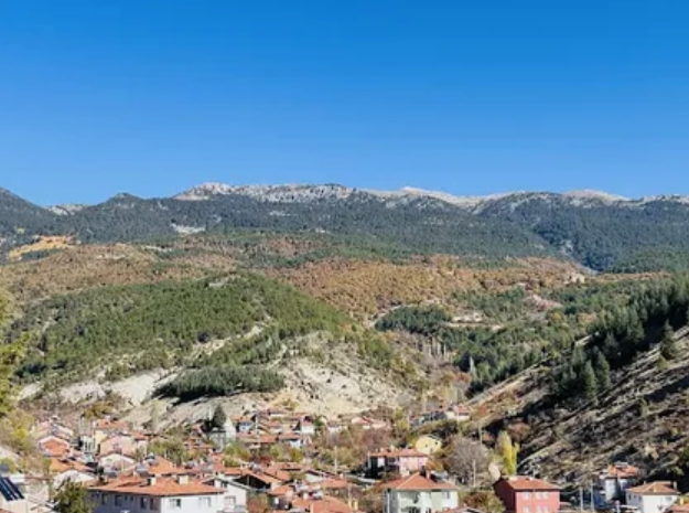  KÜTAHYA ŞAPHANE SUBAŞI  KÖYÜNDE 362 M²  BAHÇE  SATILIKTIR