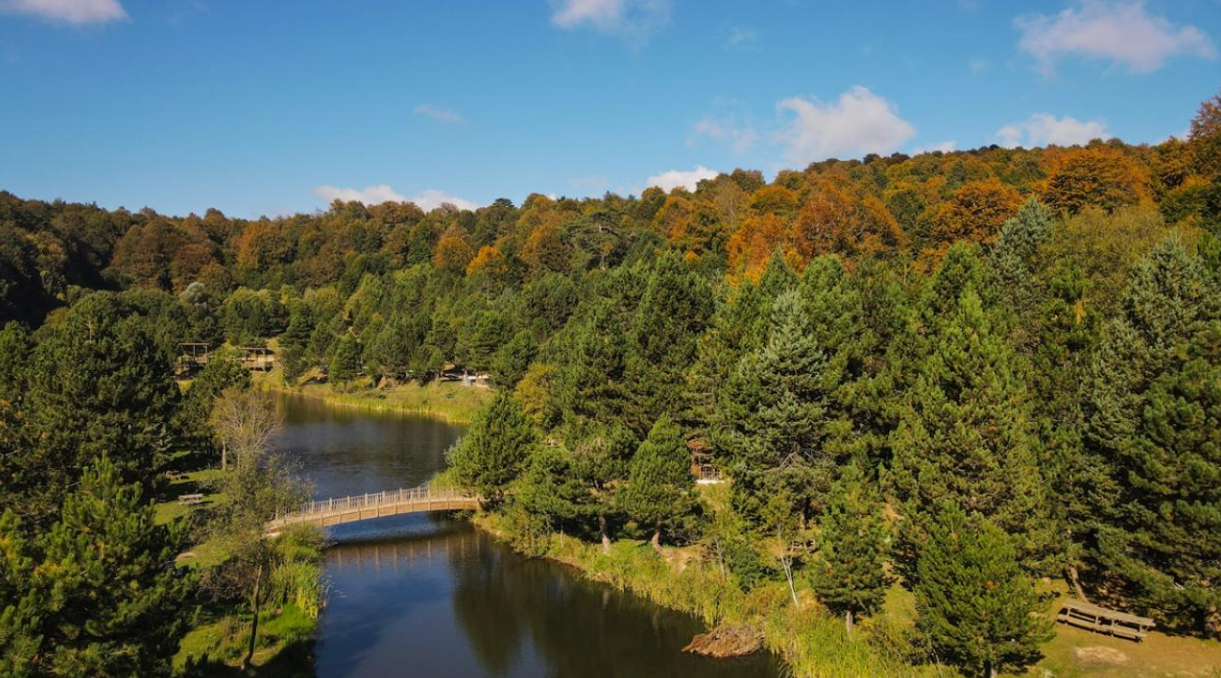  KÜTAHYA DOMANİÇ SEYDİKUZU  KÖYÜNDE 1.514  M²  TARLA  SATILIKTIR