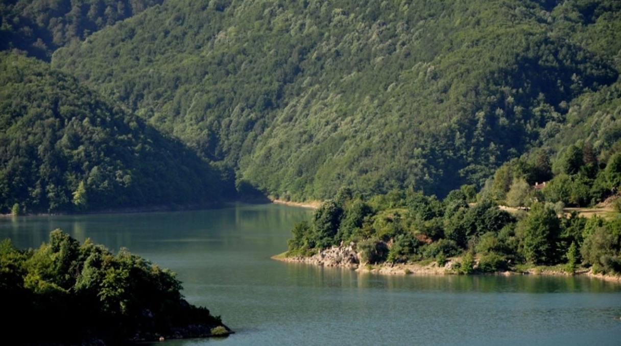    DÜZCE YIĞILCA HACILAR  KÖYÜNDE 4.379  M²  FINDIK BAHÇESİ  SATILIKTIR