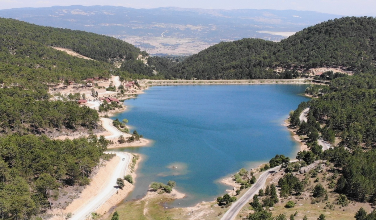    KÜTAHYA EMET MUSALAR   KÖYÜNDE  1.319   M²  TARLA  SATILIKTIR