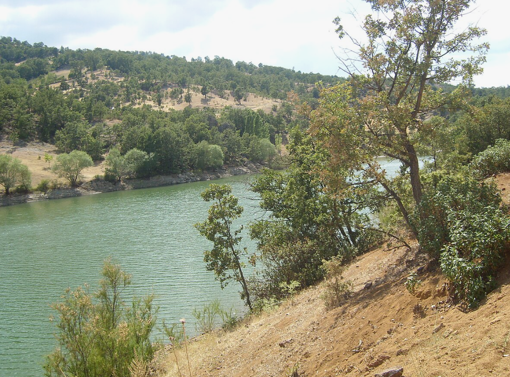 KÜTAHYA SİMAV DERE   KÖYÜNDE  2.914  M² TARLA  SATILIKTIR