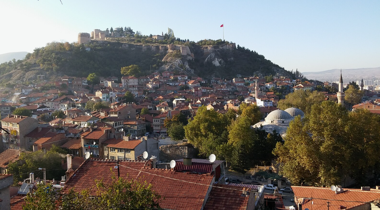 KÜTAHYA ŞAPHANE SUBAŞI  KÖYÜNDE 362 M²  BAHÇE  SATILIKTIR