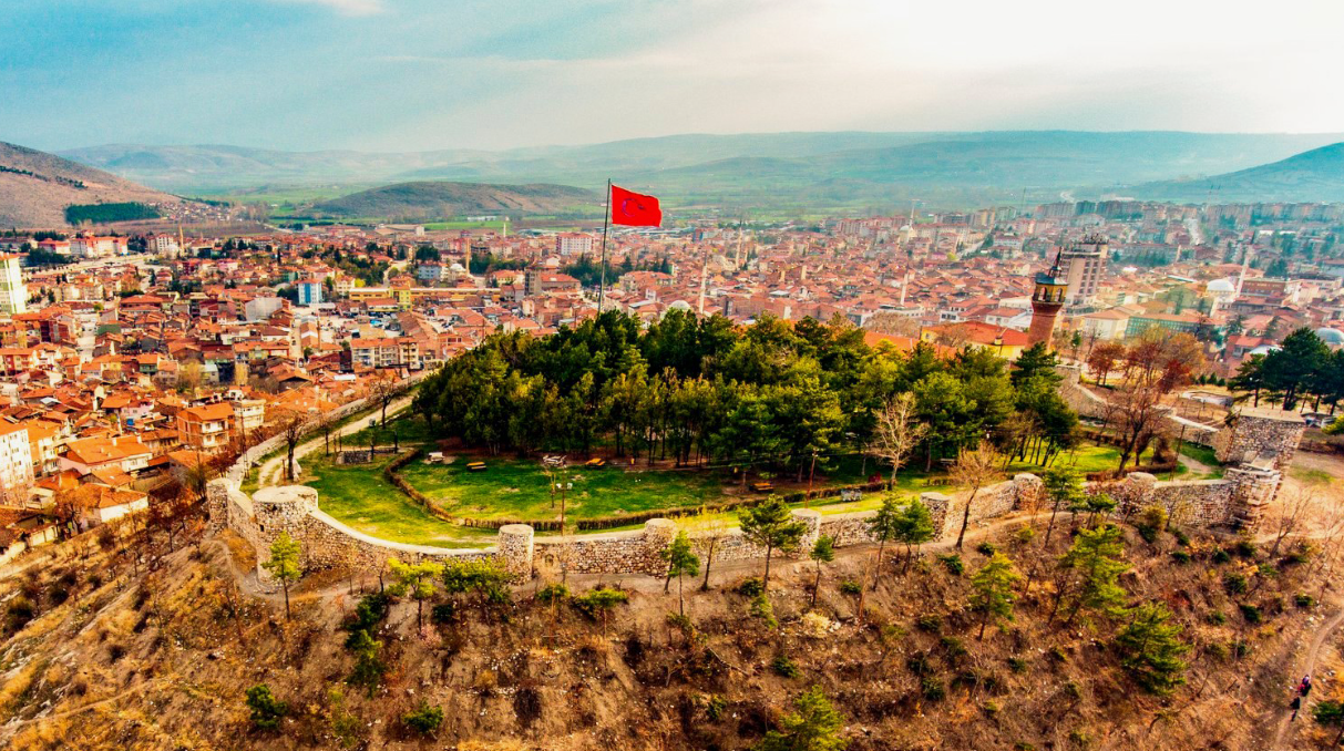 TOKAT ZİLE ALAYURT KÖYÜNDE 600 M² BAĞ SATILIKTIR.