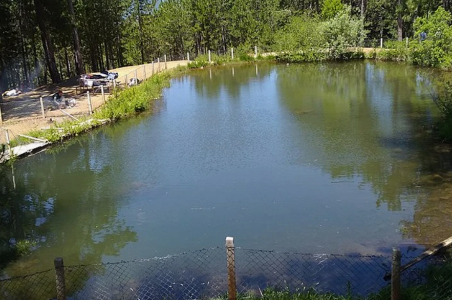 KÜTAHYA GEDİZ KIZILÜZÜM  KÖYÜNDE  972  M²  TARLA  SATILIKTIR