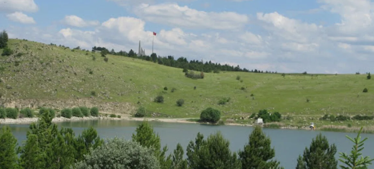   KÜTAHYA ALTINTAŞ YEŞİLYURT  KÖYÜNDE  521  M² BAHÇE SATILIKTIR   