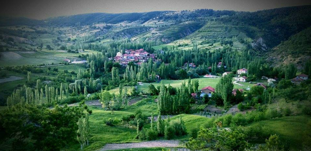      KÜTAHYA GEDİZ ÇUKURÖEREN   KÖYÜNDE  10.379  M²  TARLA  SATILIKTIR