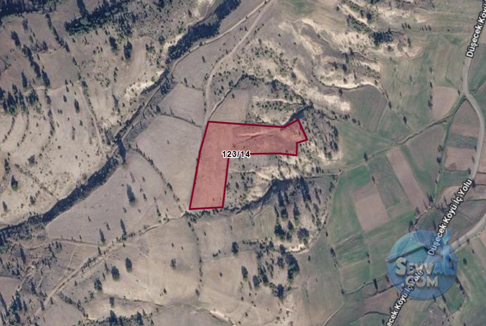 KÜTAHYA EMET DÜŞECEK  KÖYÜNDE  9.955 M²  TARLA SATILIKTIR
