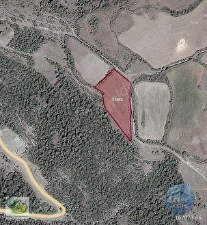 🚨 KOZDEREGÜVEM'DE 3.726 M² RESMİ YOLLU MANZARALI HARİKA TARLA 🚨